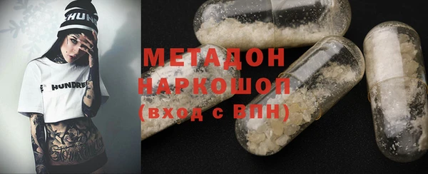 гидра Каменка