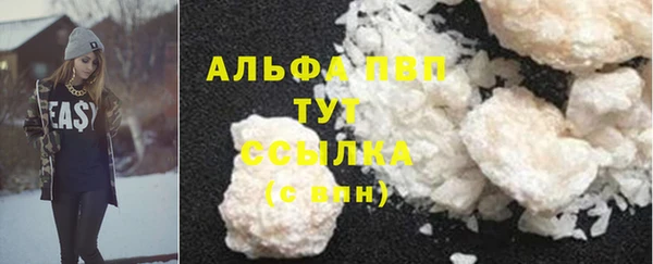 гидра Каменка