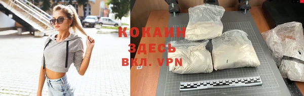 гидра Каменка