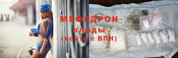 гидра Каменка
