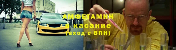 гидра Каменка