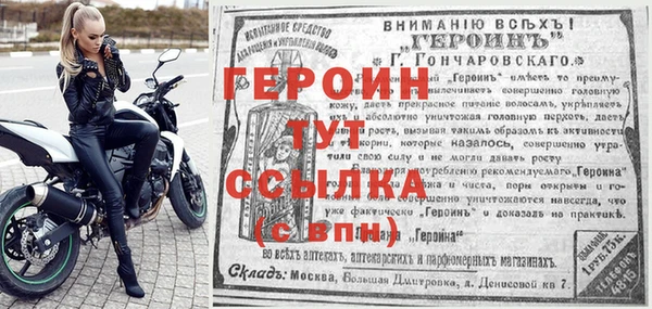 гидра Каменка