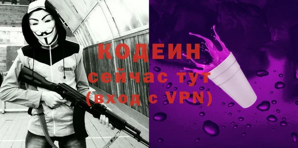 гидра Каменка
