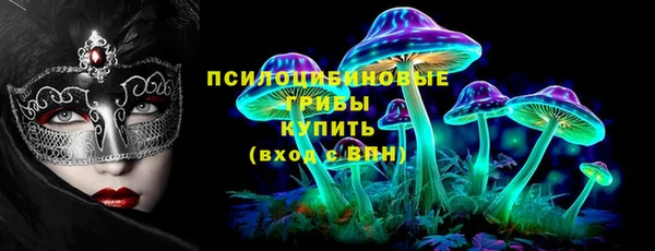 ГАЛЛЮЦИНОГЕННЫЕ ГРИБЫ Карпинск