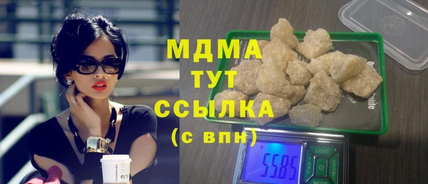 гидра Каменка