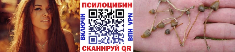Купить закладки  Зарайск  Псилоцибиновые грибы ЛСД 