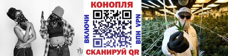Купить где  Зарайск  Канабис ГИДРОПОН 